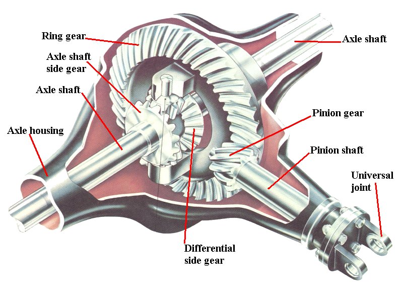 【differential】什么意思_英语differential的翻译