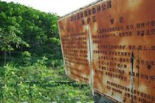 儋州市番加森林保护区 儋州市番加森林保护区