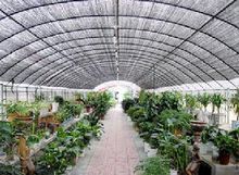 龙家圈乡 龙家圈乡